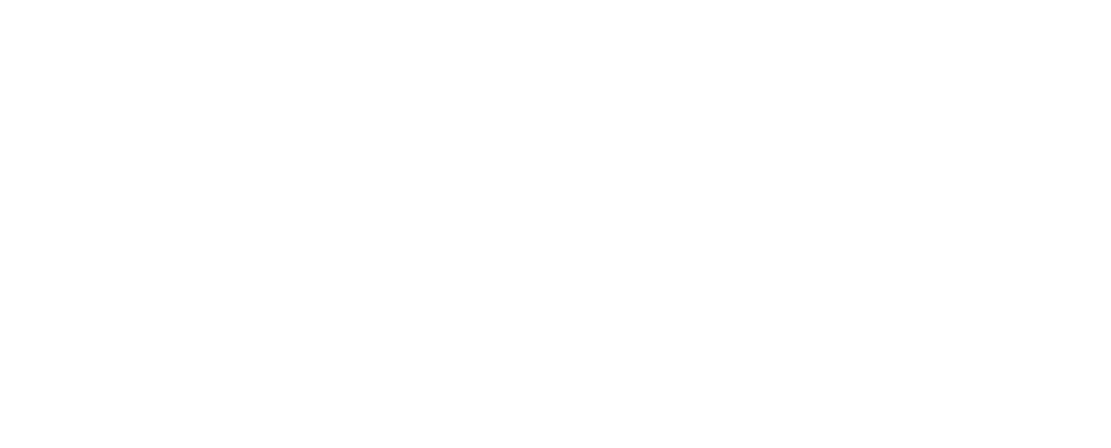 Andone Transport Logo
